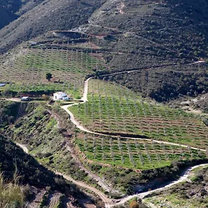 Cortijo El Rancho Albanchez
